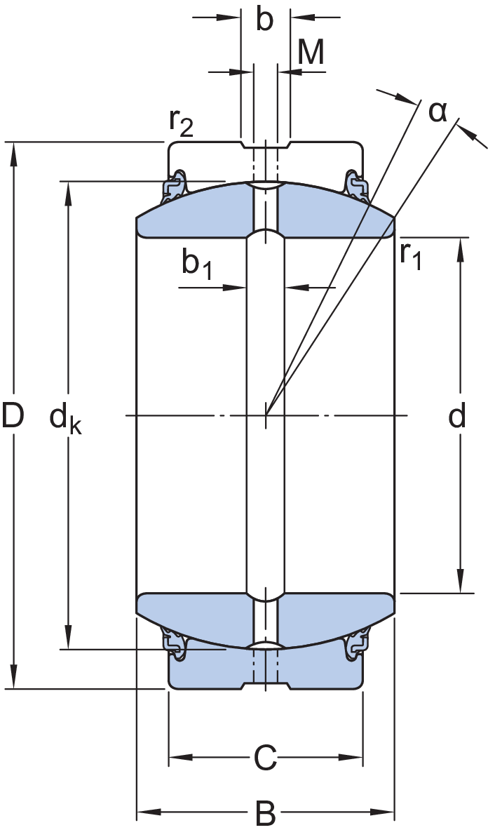 Dimensioni